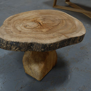 Mushroom Table