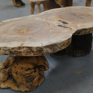 Mushroom Table